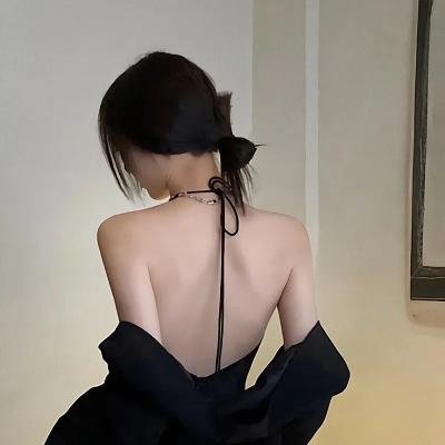 一条狗的使命